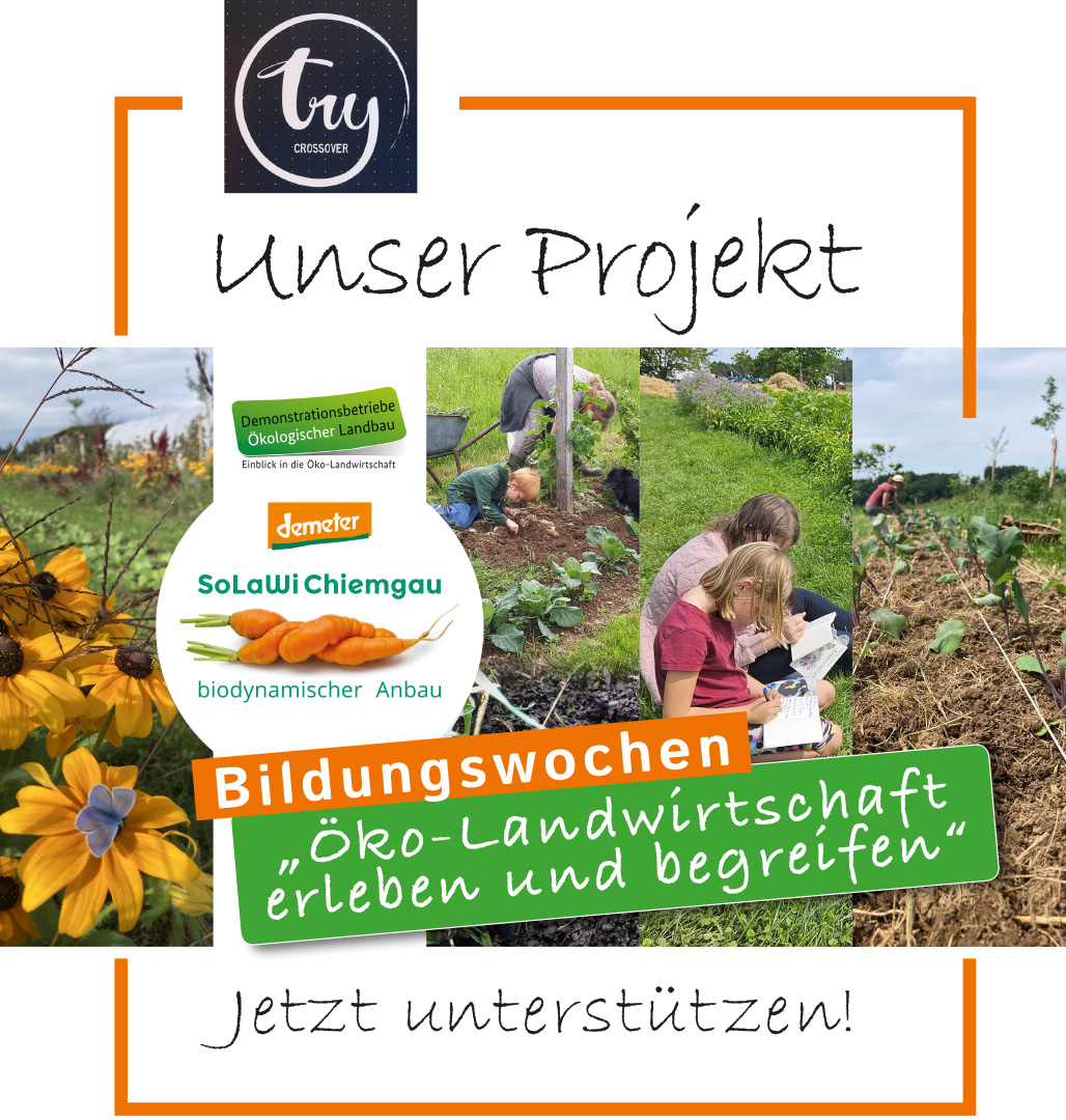 Spende jetzt Bildungswochen 2026